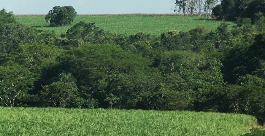 (Foto: Arquivo CanaOnline)