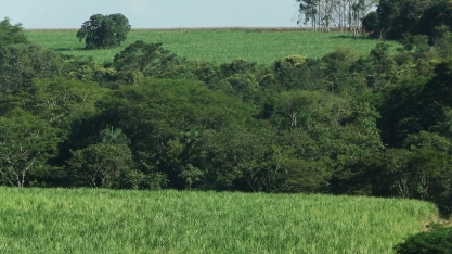 Matriz econômica afeta pegada de carbono do PIB