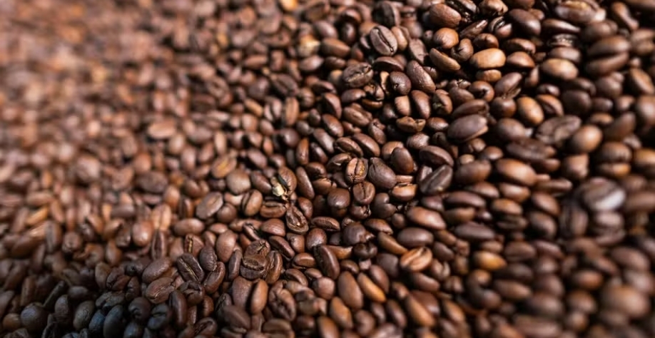 Ameaça de tarifas dos EUA contra a Colômbia gerou incertezas no mercado de café — Foto: Wenderson Araújo/CNA