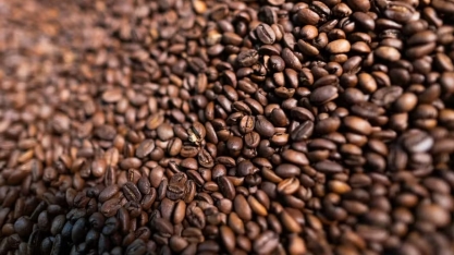 Café, açúcar e algodão iniciam semana em alta na bolsa de Nova York