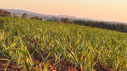Preço do ATR tem redução de 2,9% em dezembro
