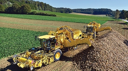 Produção de açúcar de beterraba branca na Ucrânia deve cair 5% em 2024/25, diz associação empresarial