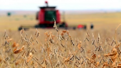 Valor da produção do agro deve chegar a R$ 1,4 trilhão neste ano