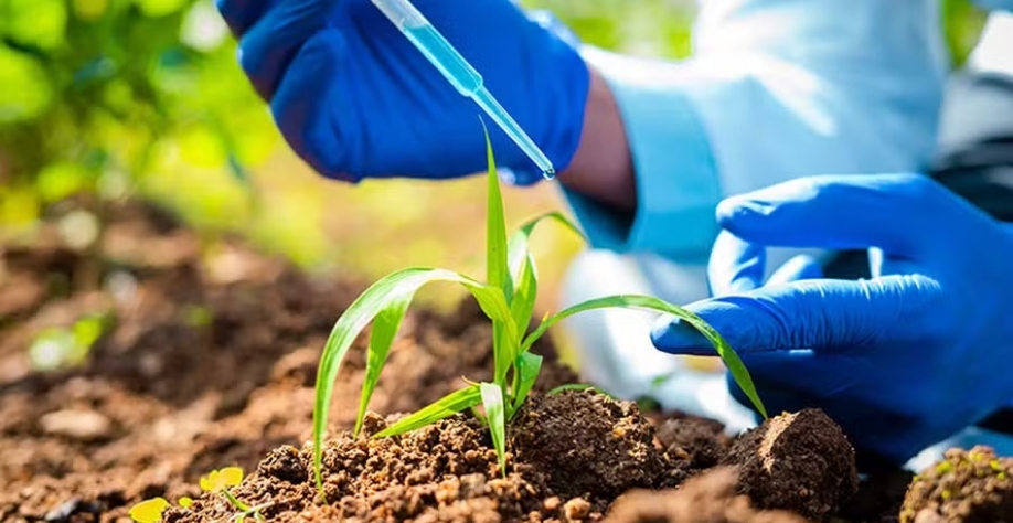 Amaggi quer produzir 80 mil litros de bioestimulantes e defensivos biológicos por mês a partir do segundo semestre deste ano — Foto: CrofpLife/Divulgação