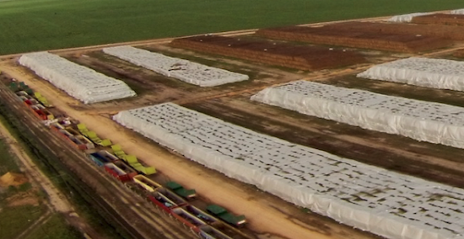 Área de armazenagem de palha de cana-de-açúcar colhida pela GranBio