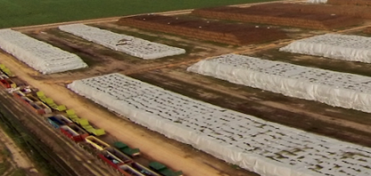 'A gente errou muito', diz CEO da GranBio sobre etanol de segunda geração