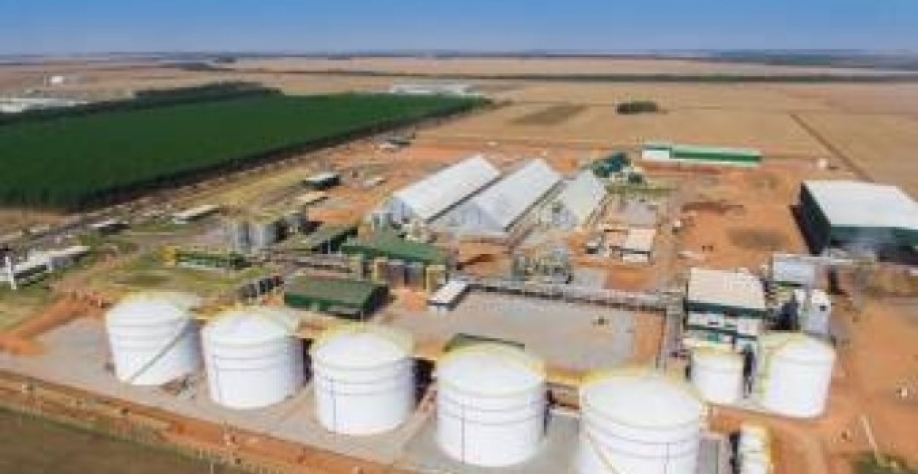 A cadeia produtiva de biocombustíveis, ao integrar soluções de baixo carbono, estimula a diversificação no campo e a criação de empregos qualificados - (crédito: FSBionergia/Divulga??o)
