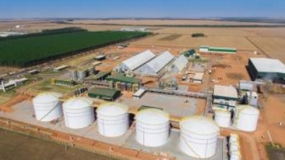 Bioinsumos e combustíveis do futuro fortalecem a transição energética