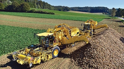 Produção de açúcar dos EUA atingirá recorde em 2024/25, prevê USDA