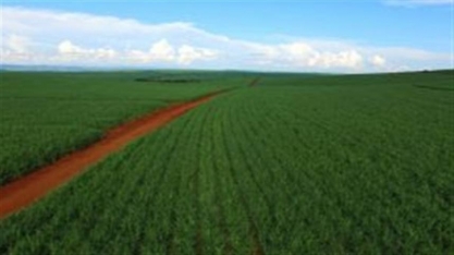 Otimização das manobras na colheita de cana-de-açúcar