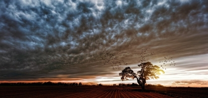 O que esperar do clima em 2025? Calor extremo e chuvas irregulares estão no radar
