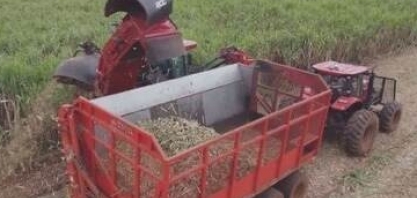 Uberaba lidera produção de cana-de-açúcar e se destaca no agronegócio nacional