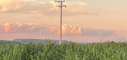 2025 ainda será de capacidade instalada acima da média para a biomassa