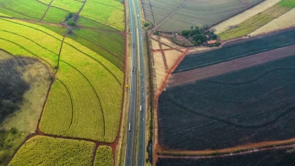 Incêndios que destruíram canaviais em 2024 impactam a próxima safra de cana