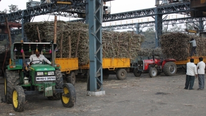 Índia autoriza exportação de 1 milhão de toneladas de açúcar na temporada 2024/25