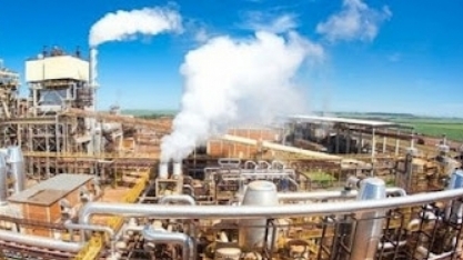 CBios disponíveis no mercado correspondem a 44,3% da meta estipulada para 2025