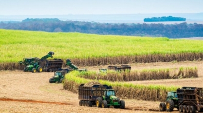 Projeto Brazil Sugarcane 2025 realiza missão técnica e comercial na Bolívia