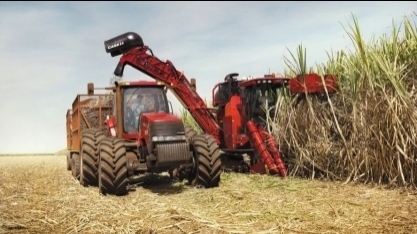Balança comercial agronegócio: DATAGRO analisa desempenho do setor em 2024 e perspectivas para 2025