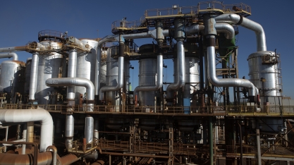 bp bioenergy abre inscrições para programas de atração de novos talentos