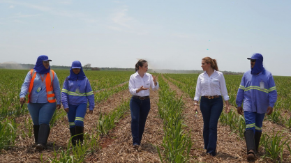 A Volare é patrocinadora do 13º Cana Substantivo Feminino