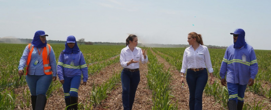 A Volare é patrocinadora do 13º Cana Substantivo Feminino