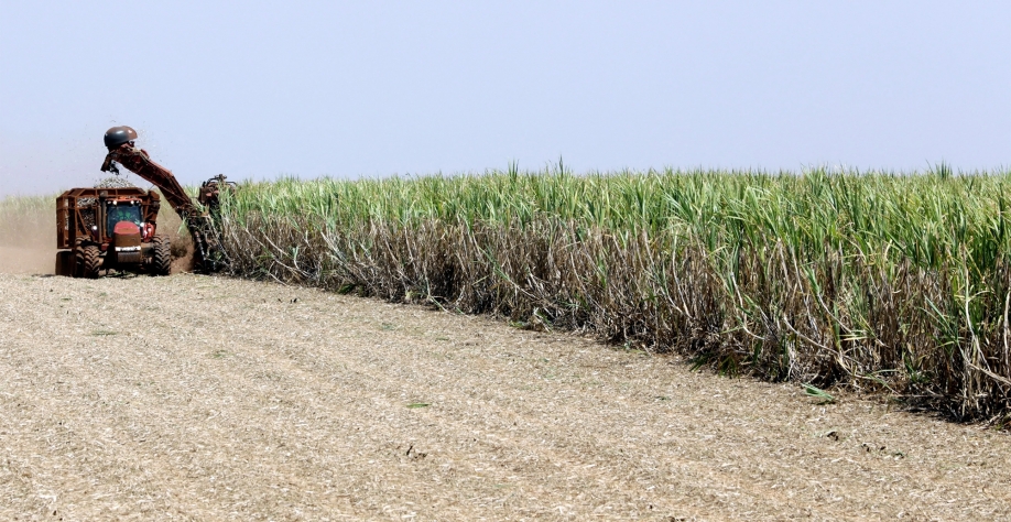  Para o governo Lula, Casa Branca deverá pressionar por abertura do mercado brasileiro; Bolsonaro reduziu alíquota, que voltou para 18% em 2023 • Paulo Whitaker/Reuters