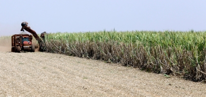 Brasil acredita em pressão de Trump por etanol com tarifa zero