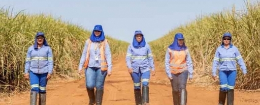 Atvos é patrocinadora Máster do 13º Cana Substantivo Feminino