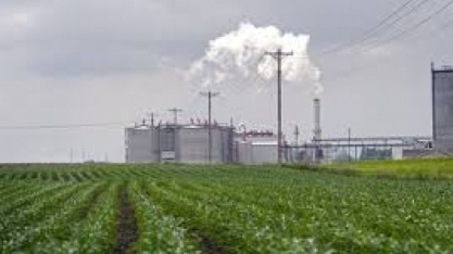 Trump deve acirrar concorrência agrícola entre Brasil e EUA, dizem especialistas