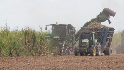 Usinas de AL ultrapassam 13,5 mi de toneladas de cana processadas