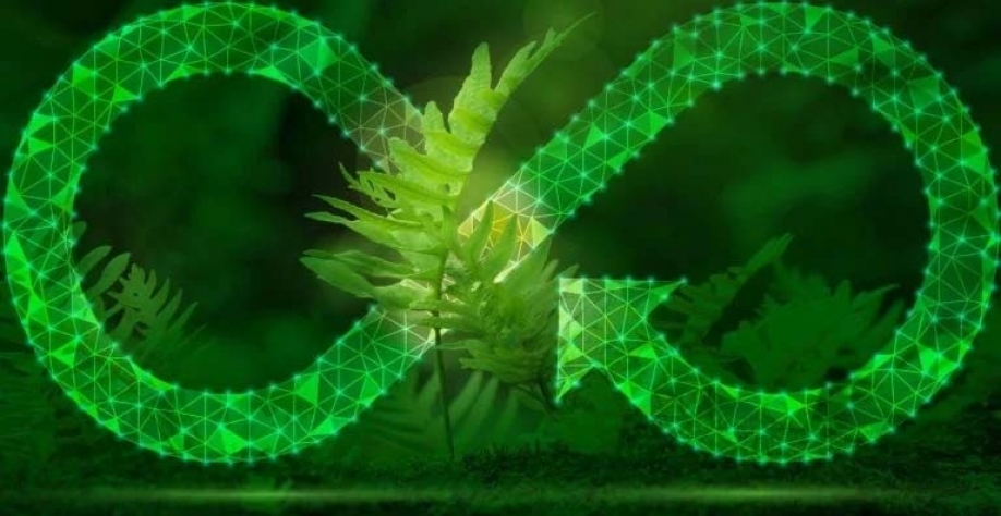 Combustíveis renováveis na agenda do mundo passa pelo Brasil. Gettyimages