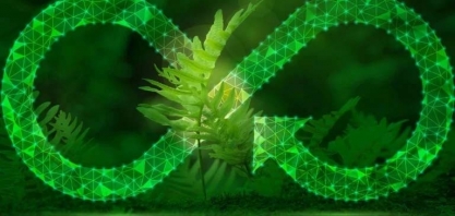 Os Combustíveis Renováveis e a Liderança Estratégica do Brasil