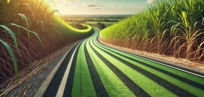 Asfalto feito de cana? Conheça a estrada sustentável produzida com cinzas do bagaço da cana: mais resistente, durável e econômica