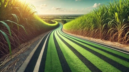 Asfalto feito de cana? Conheça a estrada sustentável produzida com cinzas do bagaço da cana: mais resistente, durável e econômica