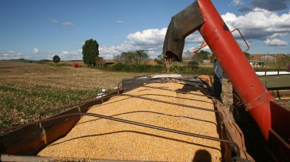 Governo cogita reduzir imposto de importação de milho e etanol para frear inflação