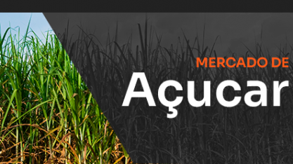 Única certeza é a incerteza