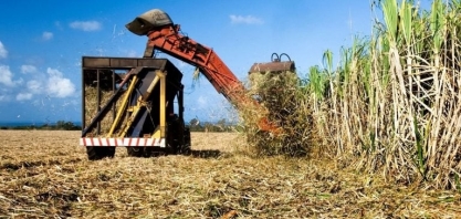 Produtores de Açúcar do Brasil Fixaram Preços de 3,5 Milhões de Toneladas em Janeiro