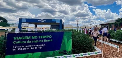 Linha do tempo com cultivares conta a história da soja no Brasil