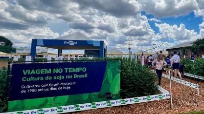 Linha do tempo com cultivares conta a história da soja no Brasil