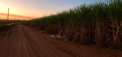 “Marca Agro do Brasil” é lançada para fortalecer a reputação do setor