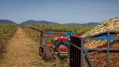 Moagem de cana recua em janeiro e produção de etanol avança graças ao milho