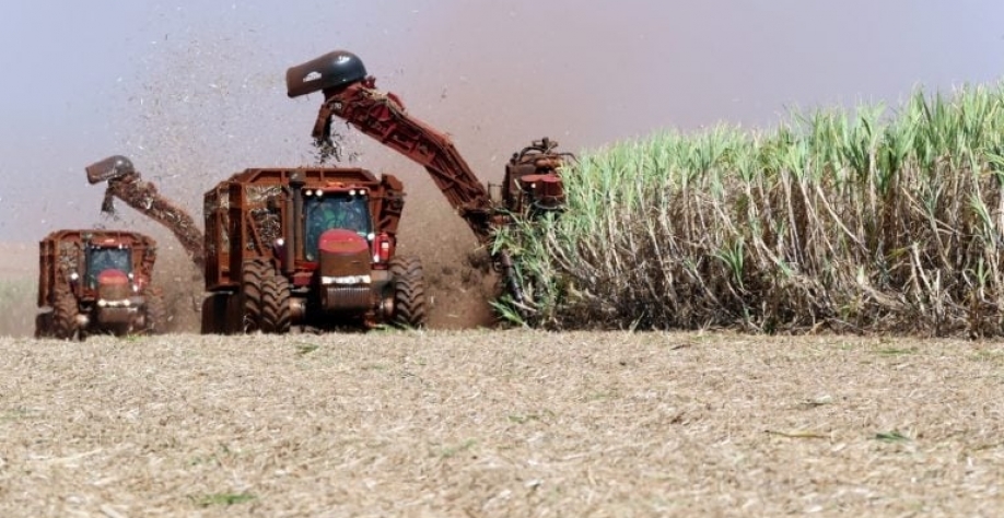 Entre os negócios da Adecoagro estão açúcar, etanol e energia. REUTERS/Paulo Whitaker