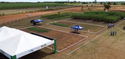 CanaMS celebra 10 anos com edição especial na Expocanas 2025