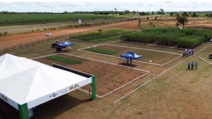 CanaMS celebra 10 anos com edição especial na Expocanas 2025