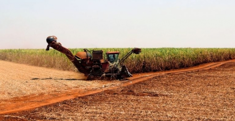 A expectativa é de produtividade média de açúcar de 82 toneladas/hectare. Reuters
