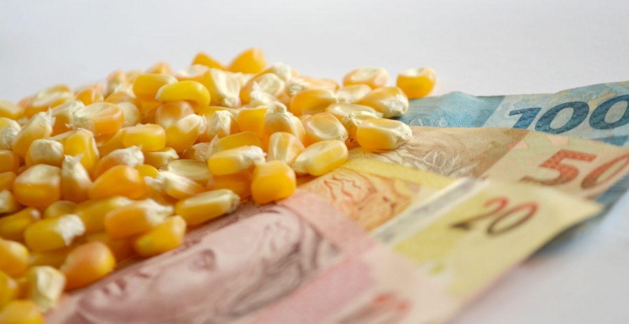 Foto: Sistema Famasul