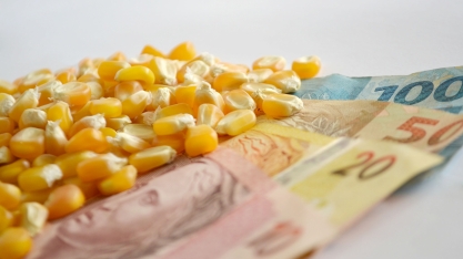 Oferta de etanol e atraso do plantio tendem a elevar os preços do milho na semana