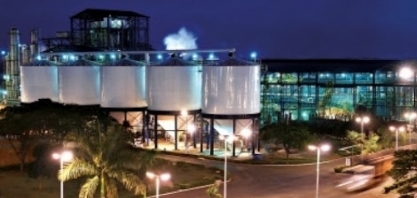 Lucro anual da Bunge cai pela metade em 2024