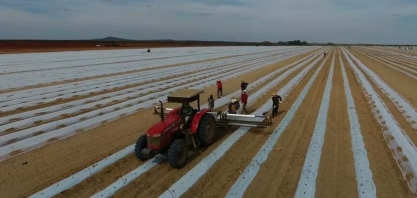 Linhas equalizadas do Plano safra são suspensas por falta de orçamento