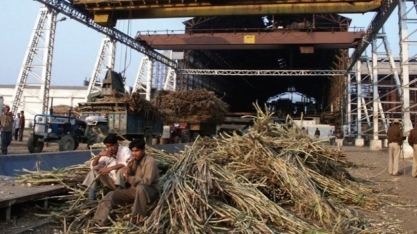 Usinas de açúcar da Índia fecham mais cedo e preços começam a subir